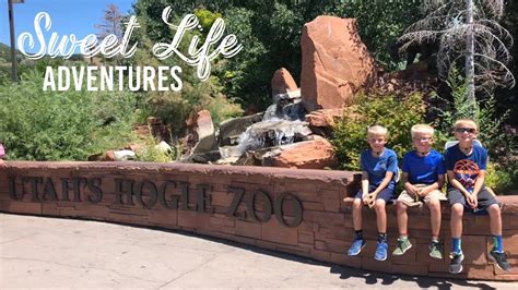 Zoologico salt lake city. Things To Know About Zoologico salt lake city. 