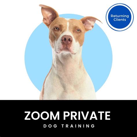 Zoom dog training. Things To Know About Zoom dog training. 