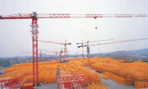 Zoomlion crane benefits