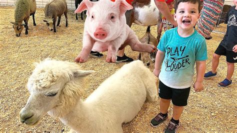 Zoos and Pet Farms in Cork Family Fun & loads of Kids