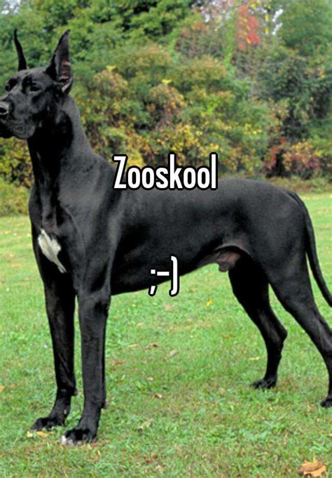 We don't have enough information about <b>zooskool</b>. . Zooskool