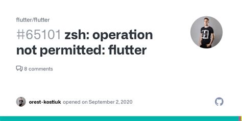 Zsh operation not permitted spring cli.  Each one probably has a permissions or ownership pro...