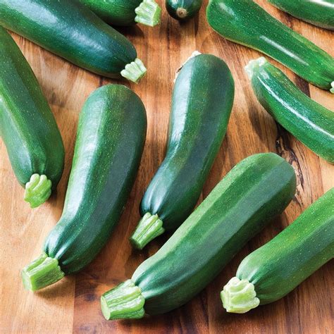 Zucchini Black Beauty – MIgardener