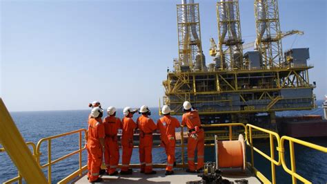 Zuluf Halı ve Koltuk Yıkama