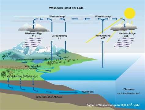 Zum einfluss der vulkanite auf die chemie der grundwässer im vogelsberg/hessen. - Polaris rmk switchback snowmobile service manual repair 2005.
