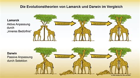 Zur charakteristik der forschungswege von lamarck und darwin. - A textbook of agricultural statistics by r rangaswamy.