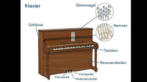 Zusammenhänge zwischen klavierbau und klavierkomposition im schaffen beethovens. - Qualitätshandbuch für cafeteria in der universität.