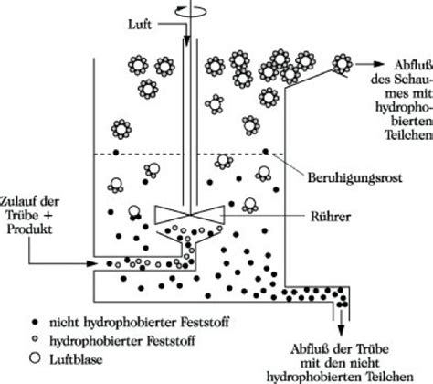 Zusammenwirken von flotation und sedimentation bei der festoffabtrennung im belebungsverfahren. - Lehrbuch der entwicklungsgeschichte und entwicklungsphysiologie der tiere..