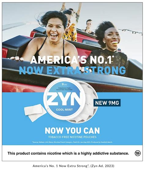 Zyn Ads: A Marketer's Guide to Success