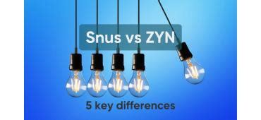 Zyn In: Unveiling the Future of Seamless Connectivity