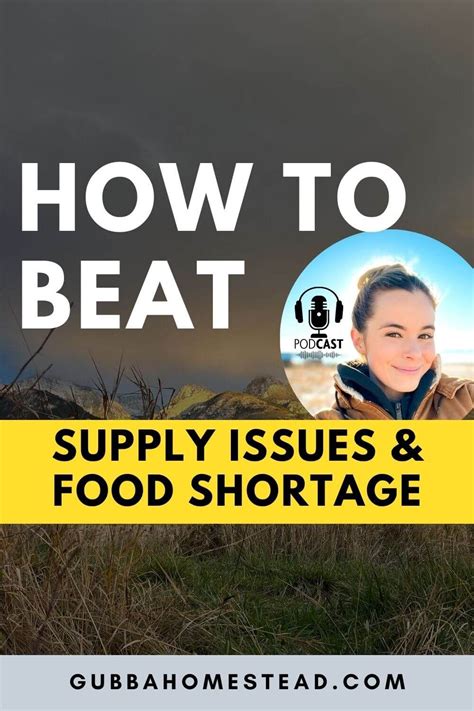 Zyn Supply Issues: How to Beat the Shortages and Keep Your Business Thriving