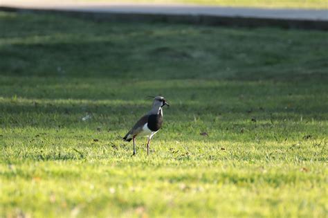 🍆 _Tero._ Onlyfans Leaked PORN 172 Photos