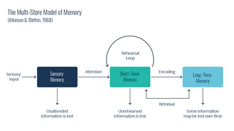A Basic Assumption Underlying Short Term Memory Is That It Is