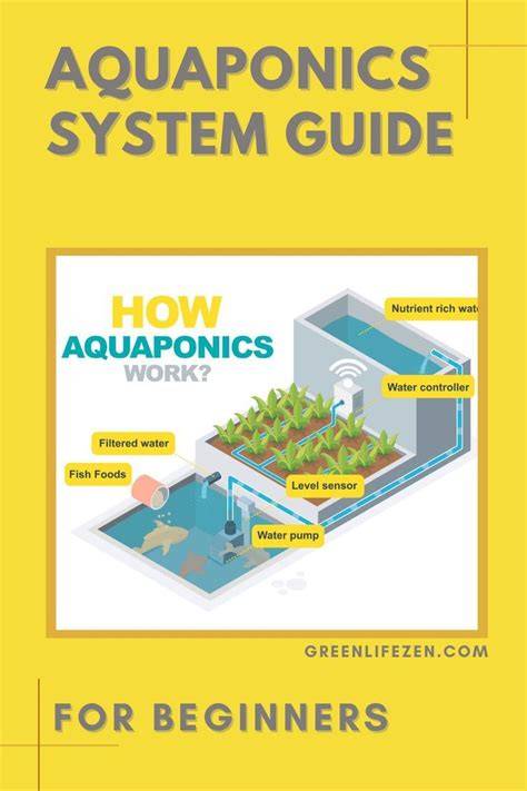 a basic guide to aquaponics growing system the a