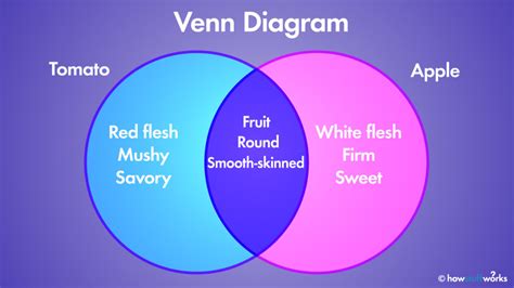 A Better Way To Use Venn Diagrams When Compare And Contrast Venn Diagram Printable - Compare And Contrast Venn Diagram Printable