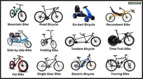 A Bicycle Is A Type Of Physical System Explain Why