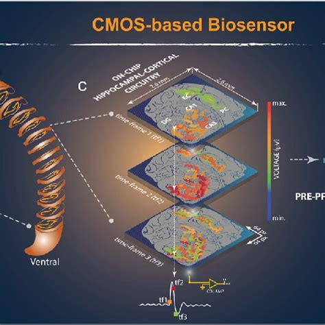 A Biosensor Cmos Platform And Integrated Readout Circuit