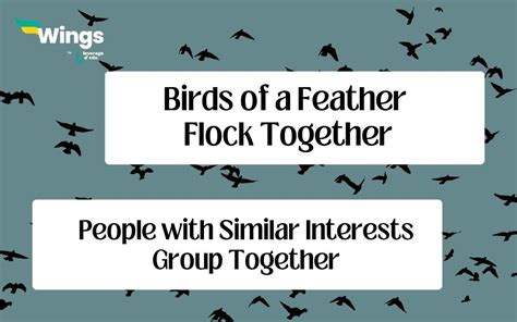 A Bird Of Feather Flock Together