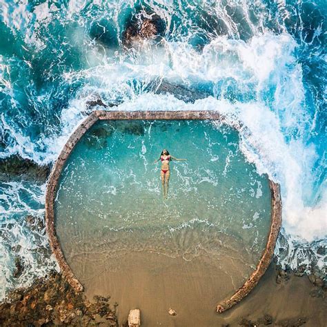 A Bird's Eye View