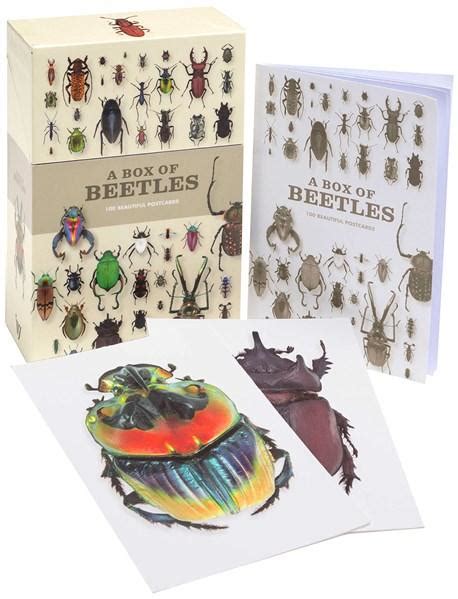 A Box Of Beetles 100 Beautiful Postcards