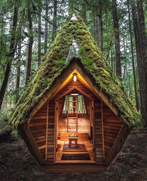 a cabana na floresta