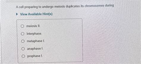 A Cell Preparing To Undergo Meiosis Duplicates Its Chromosomes During