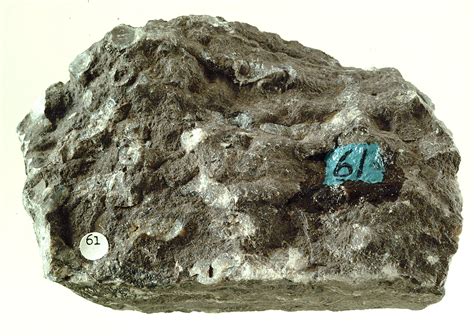 A Cherty Limestone Would Contain Which Major Constituents