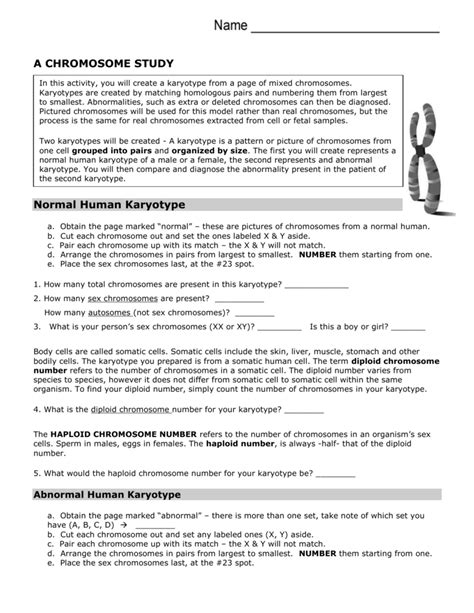 A Chromosome Study Answer Key