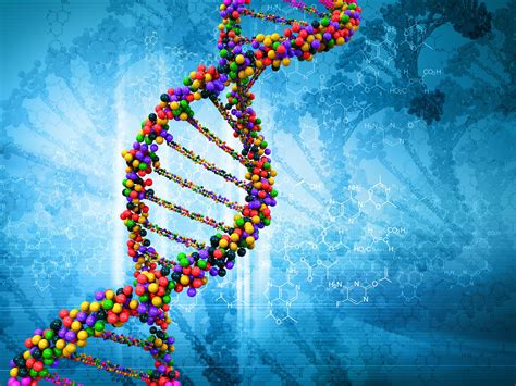 A Colored View Of Dna The Basics Of Coloring Dna Answer Key - Coloring Dna Answer Key