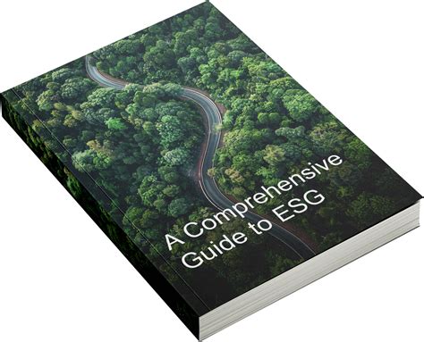 A Comprehensive Guide To