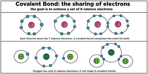 A Covalent Bond Forms When
