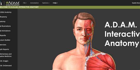 A D A M Interactive Anatomy 4 Student Lab Guide 3rd Edition