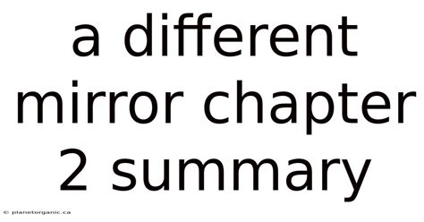 A Different Mirror Chapter 2 Summary