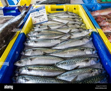 A Display Of Mackerel