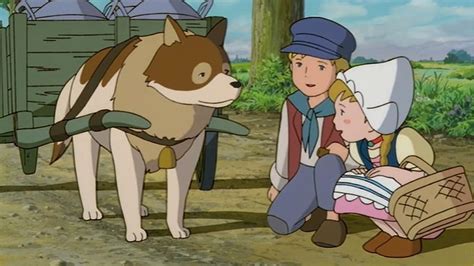 A Dog From Flanders