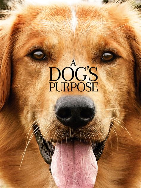 a dog s purpose