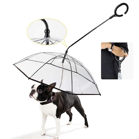 A Dog Umbrella
