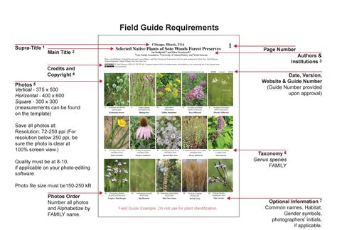 A Field Guide For The Heros Journey