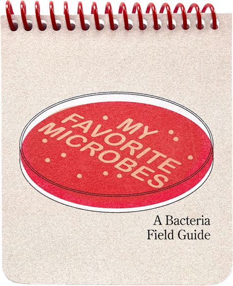 A Field Guide To Bacteria