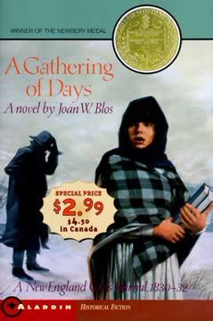 A Gathering Of Days Summary