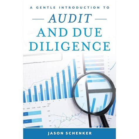 a gentle introduction to audit and due diligence