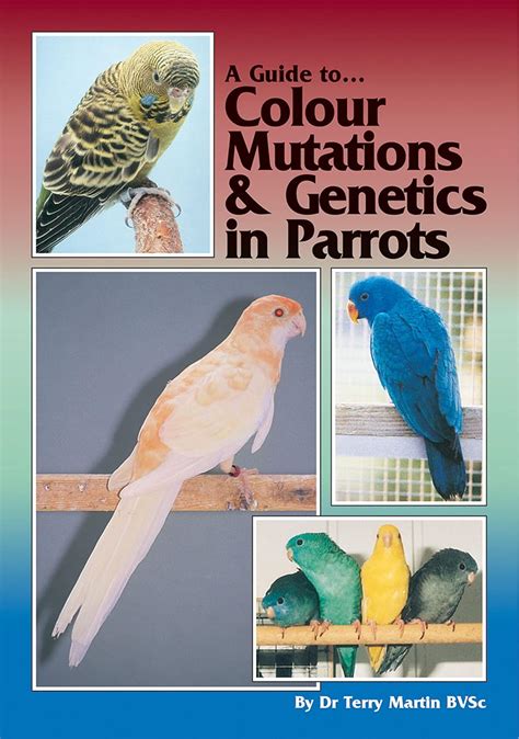 A Guide To Colour Mutations And Genetics In Parrots