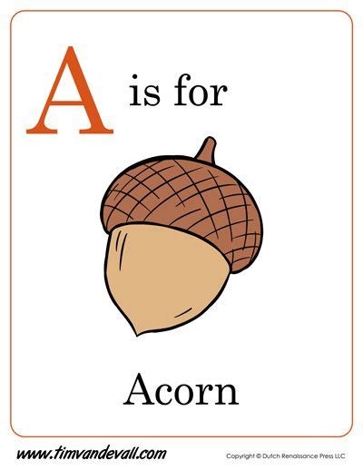 A Is For Acorn B Is For Buttercup A Is For B Is For - A Is For B Is For