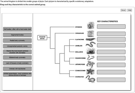 A Key Characteristic Of Evolutionary Change Is That It Is