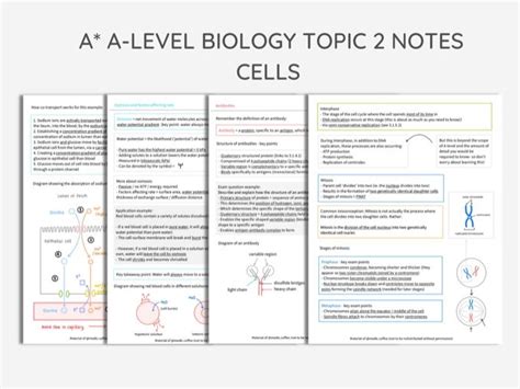 A Level Biology Revision Notes
