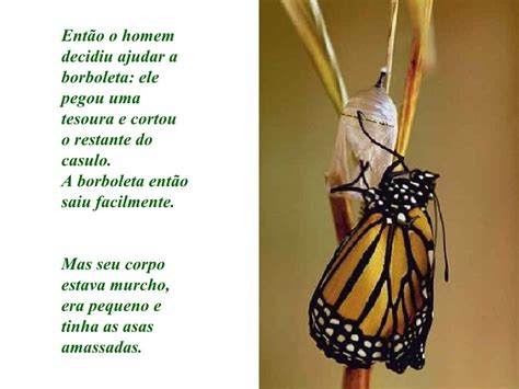 A Lição Da Borboleta
