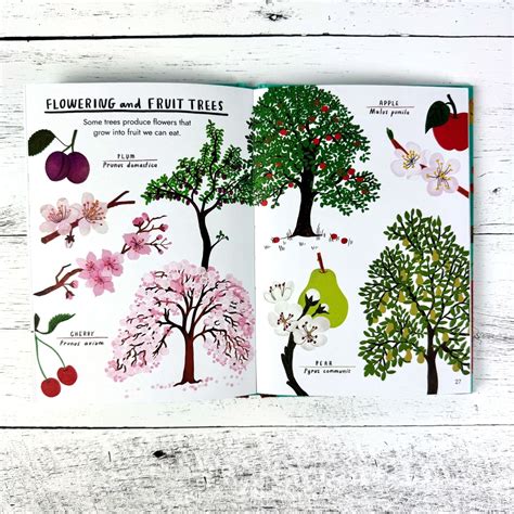 a little guide to trees eden project