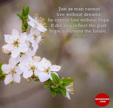 A Man Without Dreams Quotes