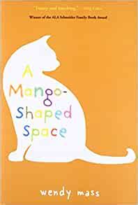 A Mango Shaped Space 2