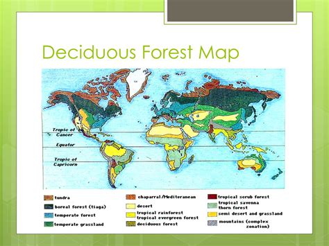 A Map Of The Deciduous Forest